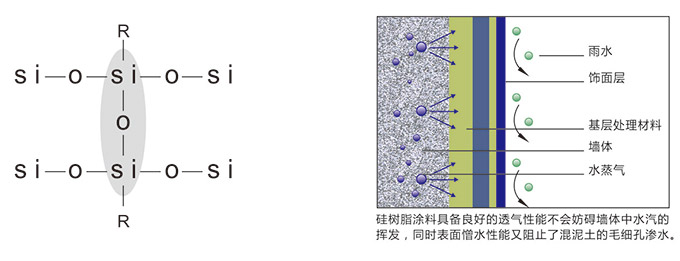 泰基涂料